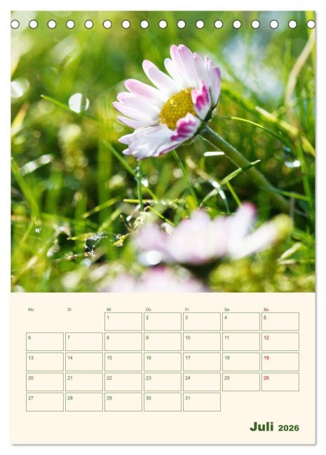 additionalImage12