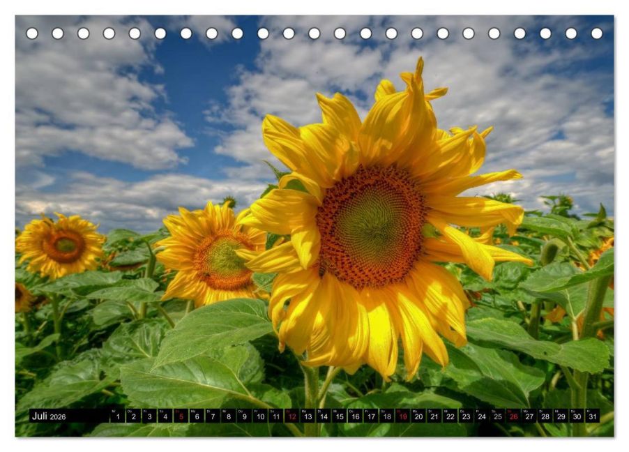 additionalImage12