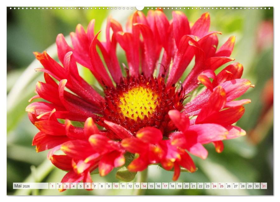 additionalImage10