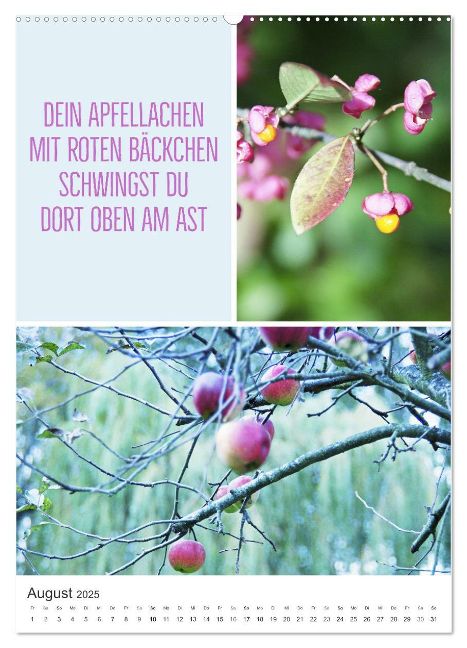 additionalImage13