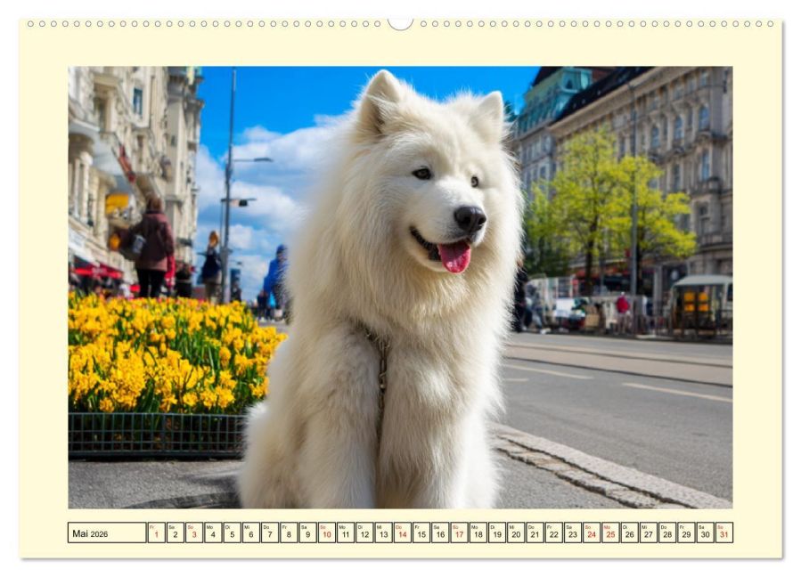 additionalImage10