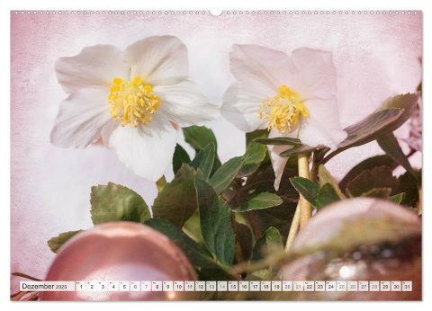 additionalImage3