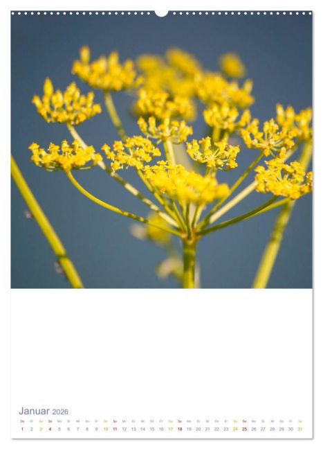 additionalImage5