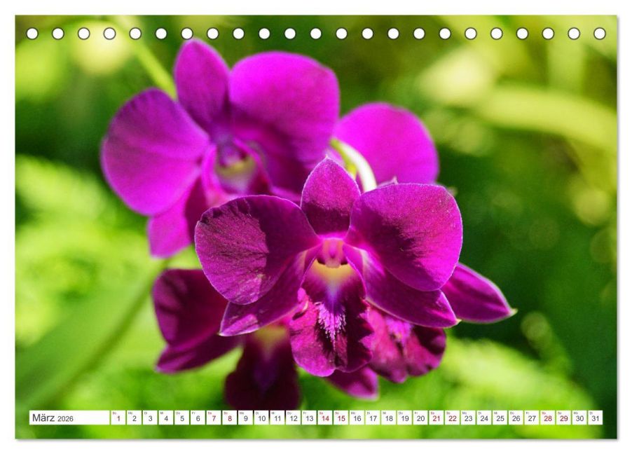 additionalImage8