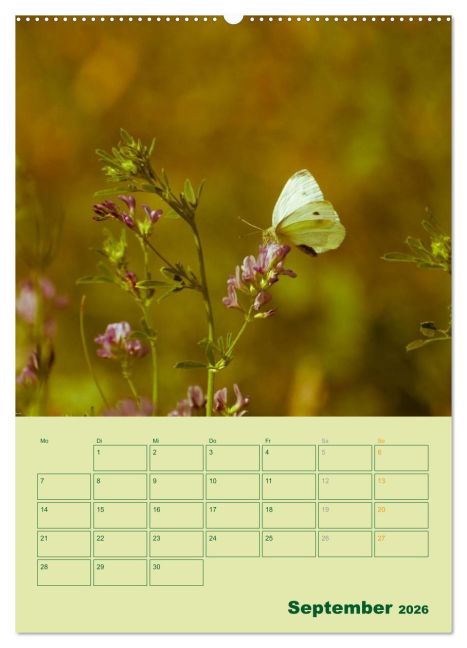 additionalImage13