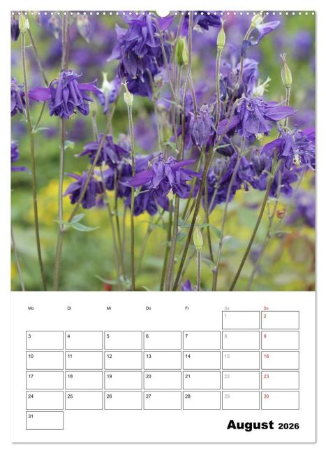 additionalImage12