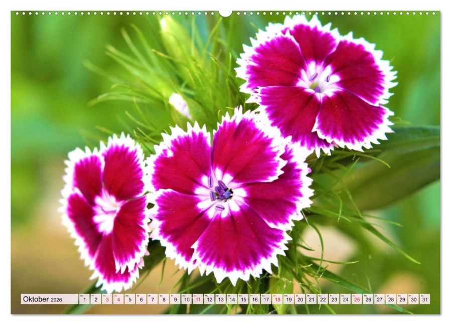 additionalImage2