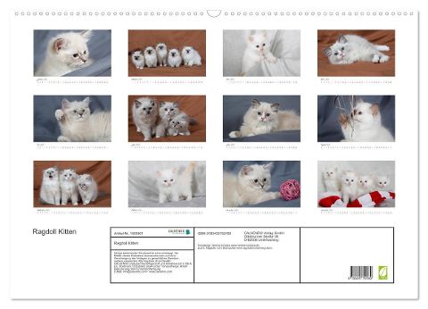 additionalImage5