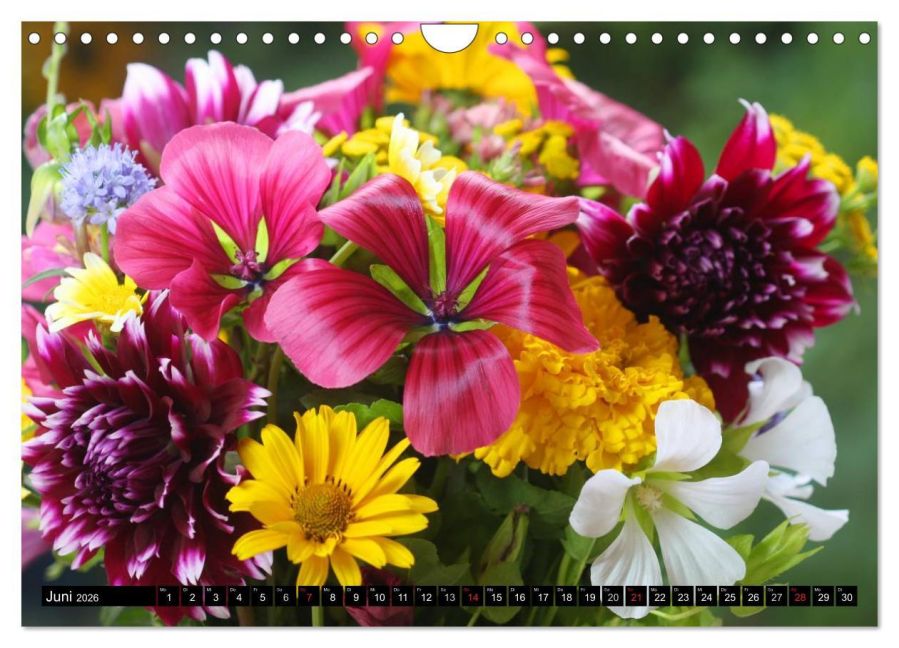 additionalImage11