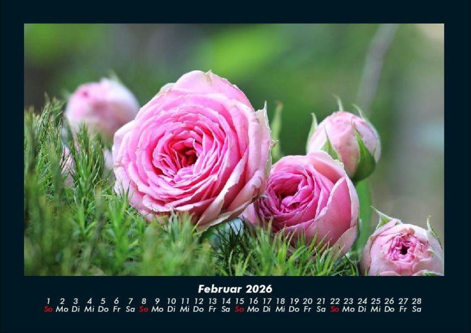 additionalImage6