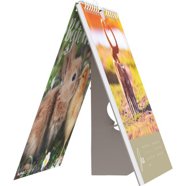 additionalImage4