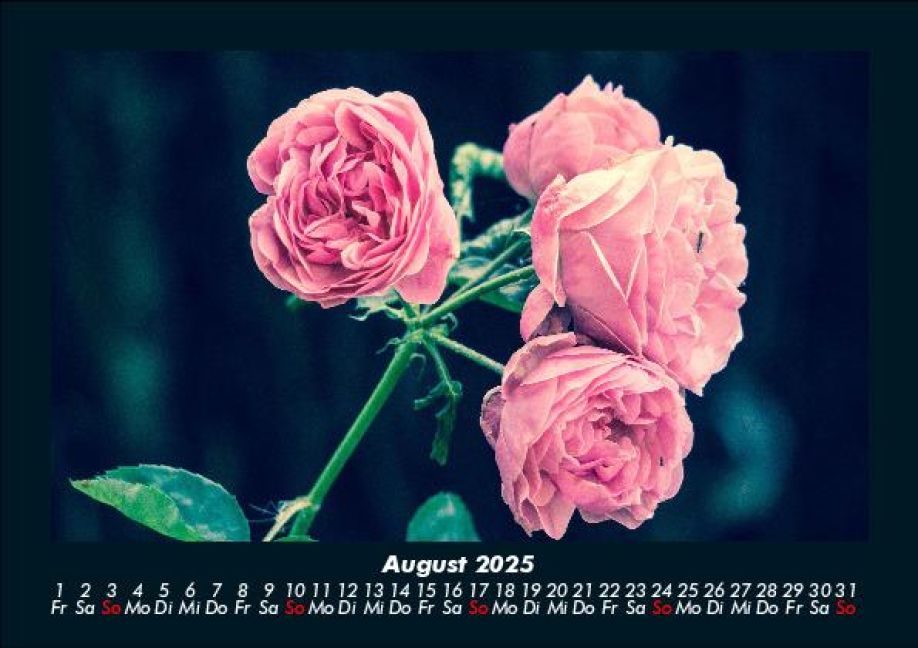 additionalImage12