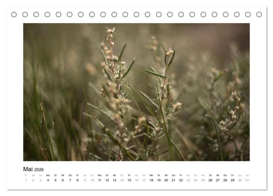 additionalImage10