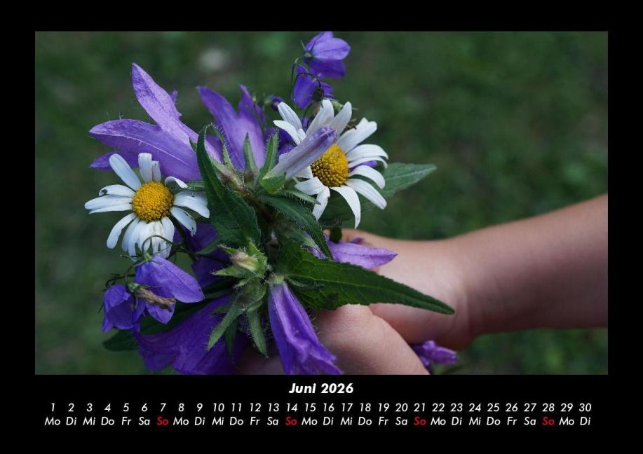 additionalImage10