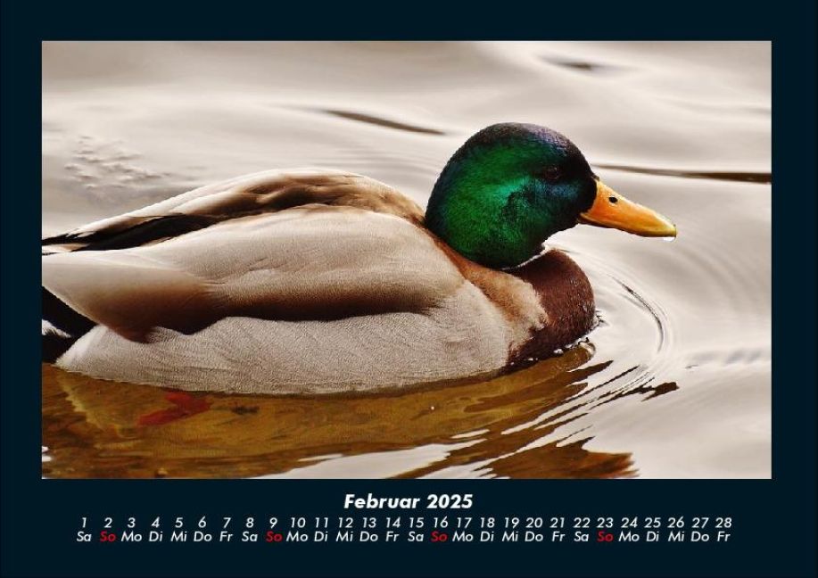 additionalImage6