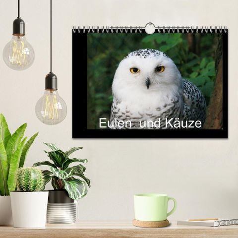 additionalImage1