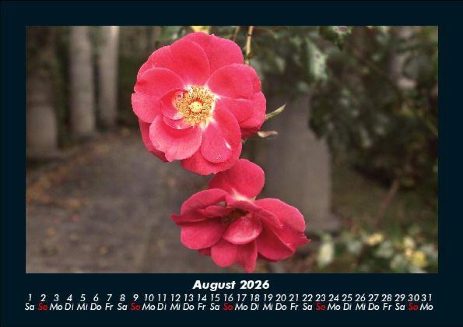 additionalImage12