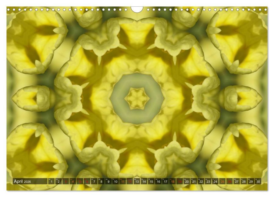 additionalImage9