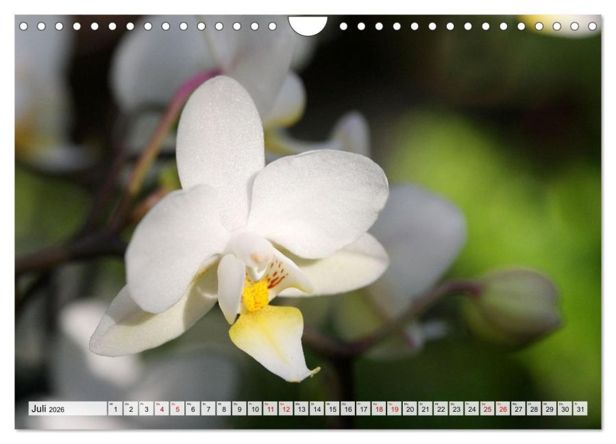 additionalImage12