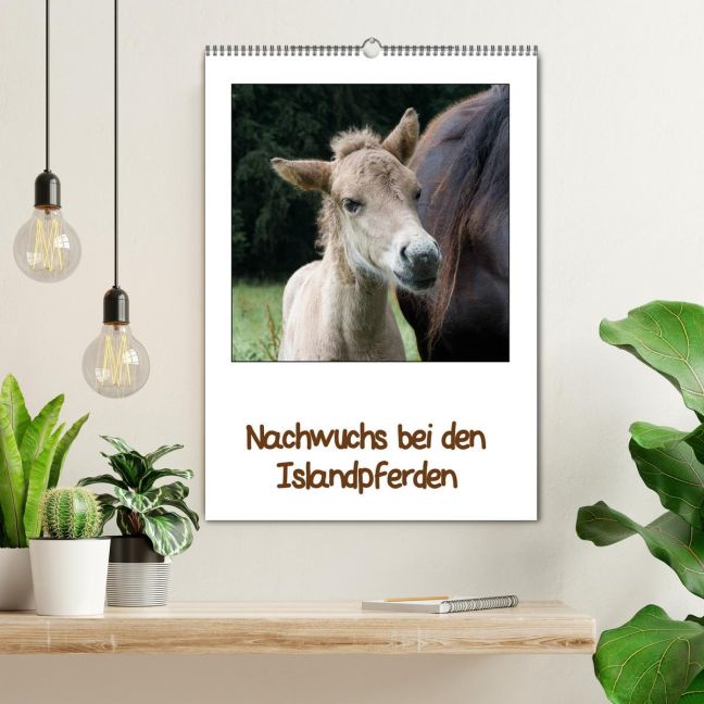 additionalImage1