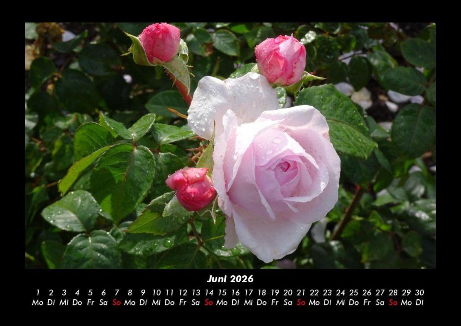 additionalImage10