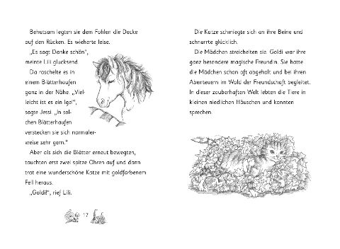additionalImage3
