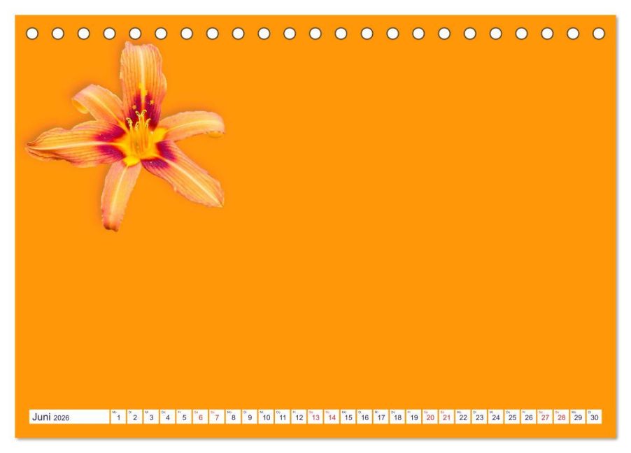 additionalImage11