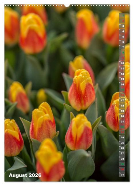 additionalImage12