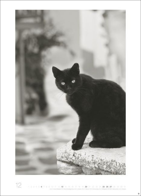 additionalImage12