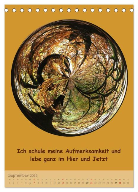 additionalImage14