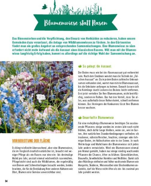 additionalImage11