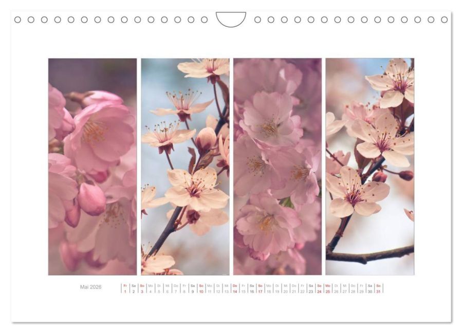 additionalImage10
