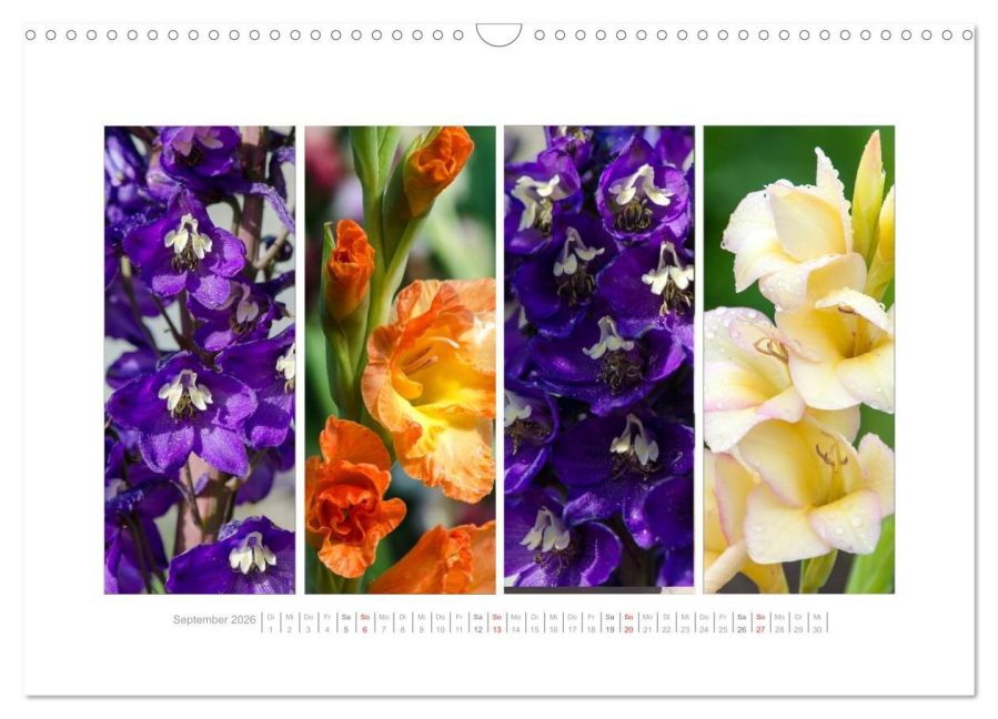 additionalImage14