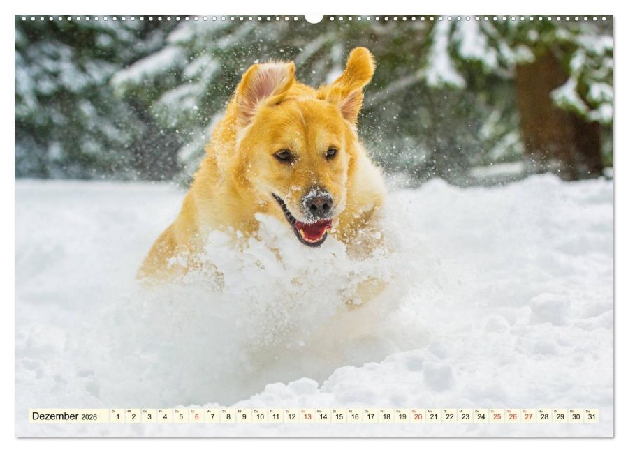 additionalImage4