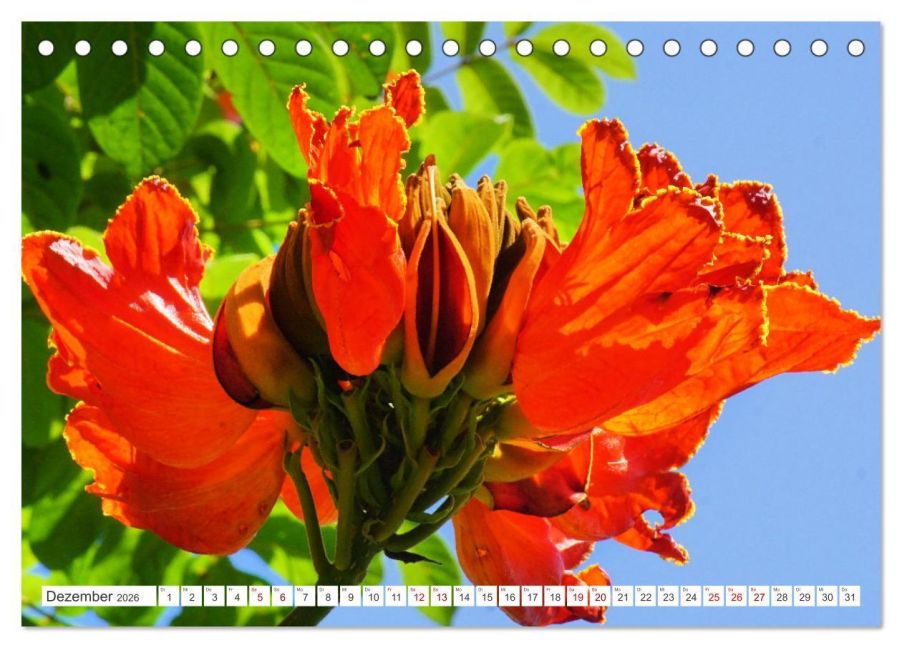 additionalImage4