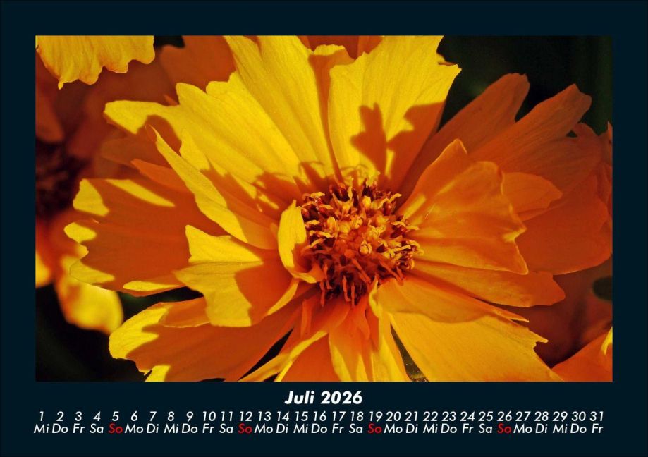 additionalImage11