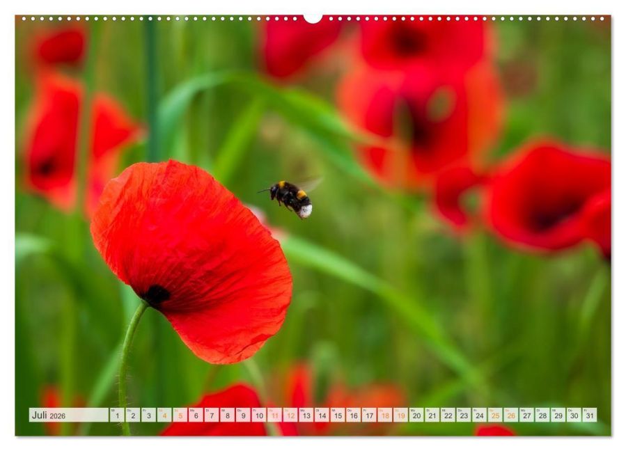 additionalImage12