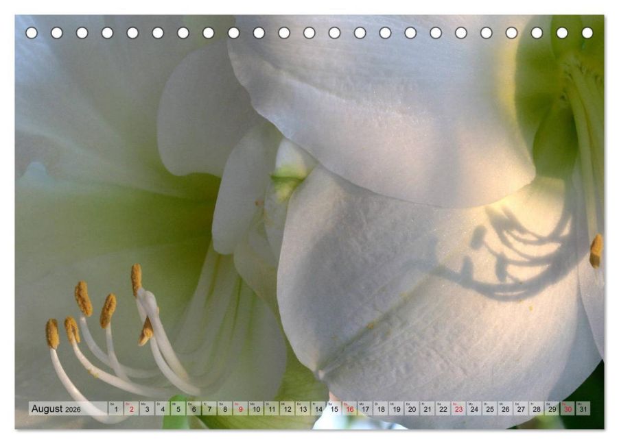 additionalImage13