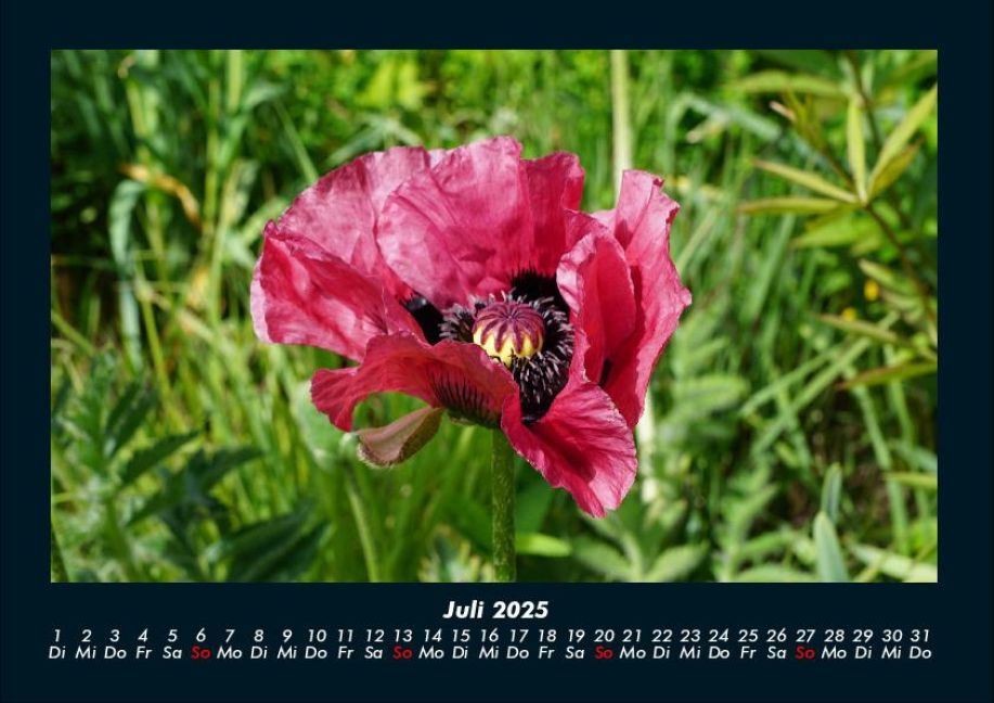 additionalImage11