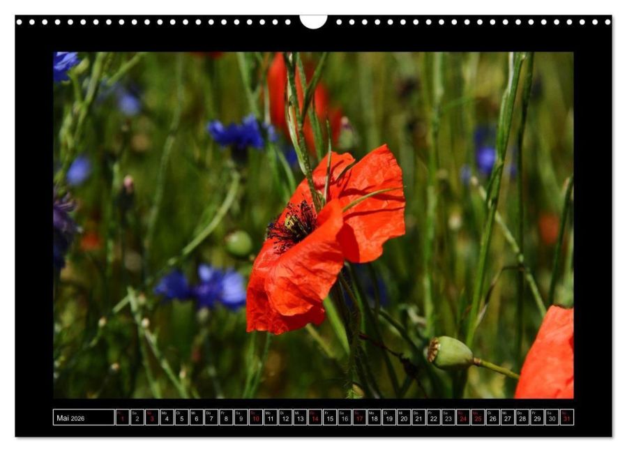 additionalImage10