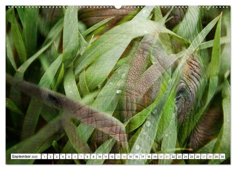 additionalImage13