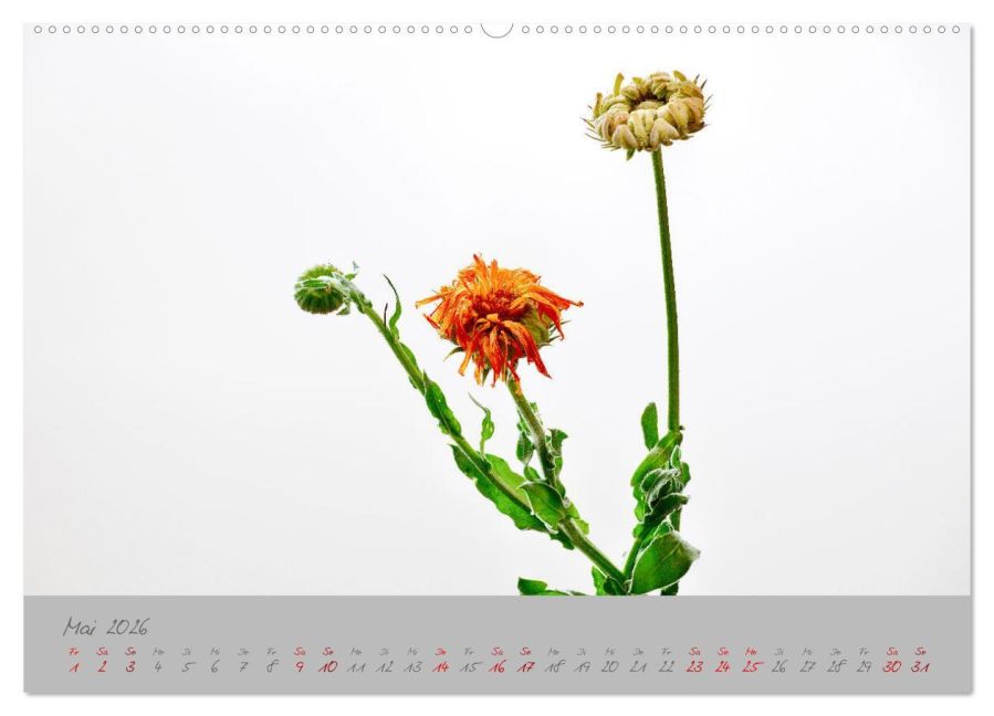 additionalImage10