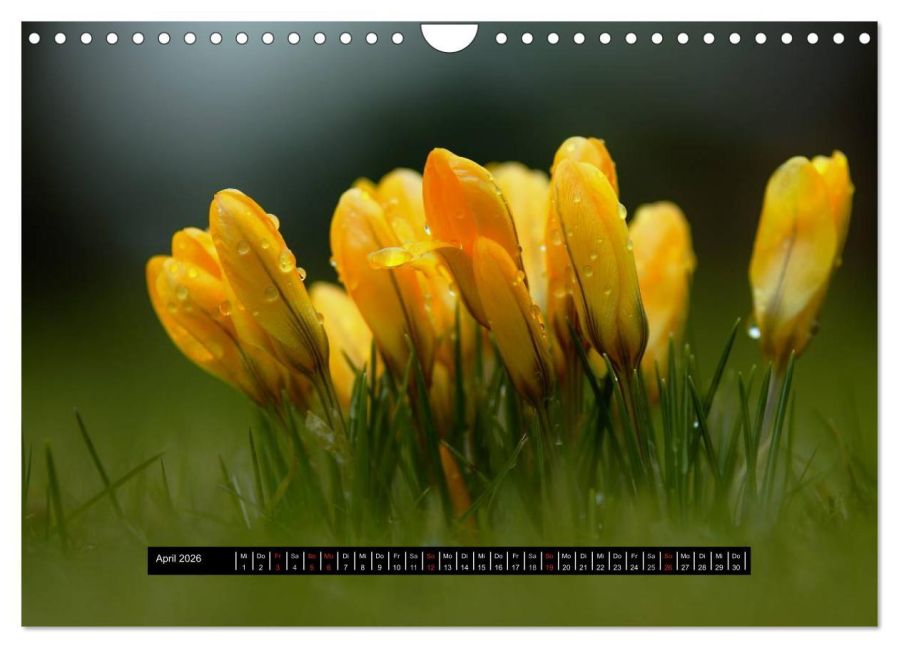additionalImage9