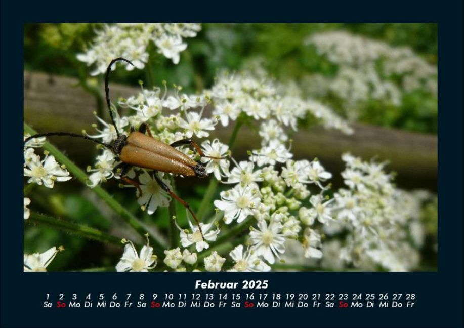 additionalImage6