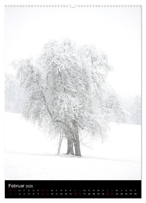 additionalImage6