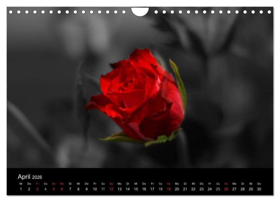 additionalImage9