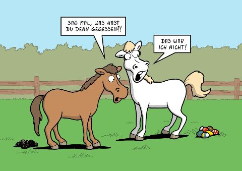 additionalImage8