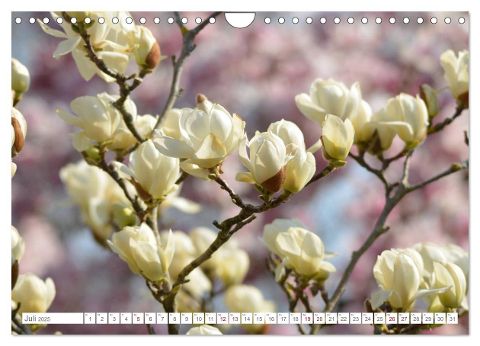 additionalImage12