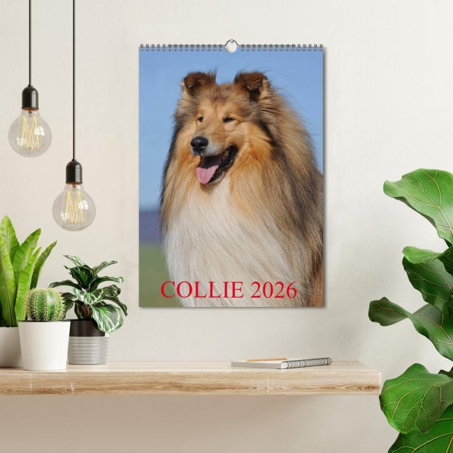 additionalImage1