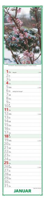 additionalImage1